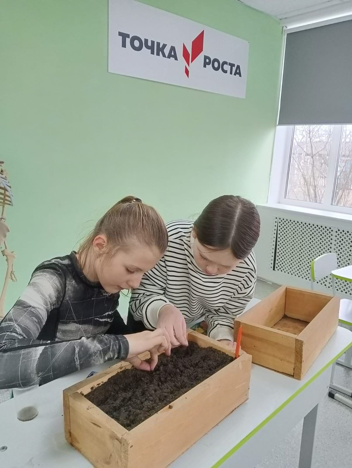 Внеурочная деятельность.